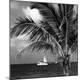 Premium Photographic Print