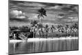 Photographic Print