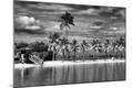 Photographic Print