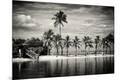 Premium Photographic Print