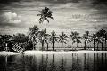 Premium Photographic Print