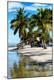 Premium Photographic Print