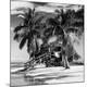 Premium Photographic Print