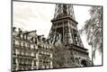 Photographic Print