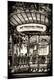 Premium Photographic Print