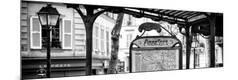 Premium Photographic Print