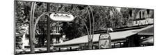 Photographic Print