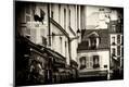 Photographic Print