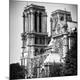 Premium Photographic Print