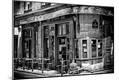 Photographic Print