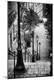 Premium Photographic Print