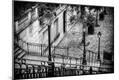Photographic Print