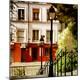 Photographic Print