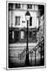 Photographic Print