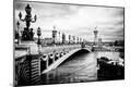Photographic Print