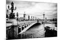 Photographic Print