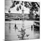 Photographic Print