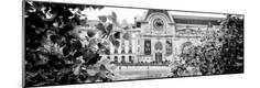Photographic Print