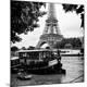 Photographic Print