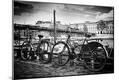 Photographic Print