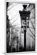 Photographic Print