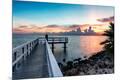 Premium Photographic Print