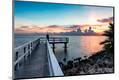 Premium Photographic Print