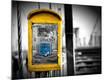 Premium Photographic Print