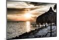 Premium Photographic Print