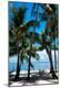 Premium Photographic Print