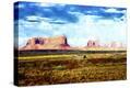 Stretched Canvas Print