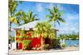Giclee Print