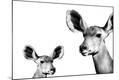 Premium Photographic Print