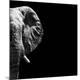Photographic Print