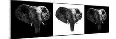 Photographic Print
