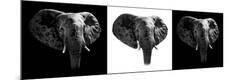 Photographic Print