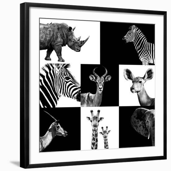 Photographic Print, , large