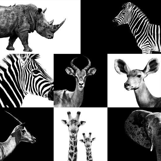 Photographic Print, , large