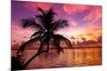 Premium Photographic Print