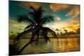 Photographic Print