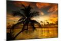 Photographic Print