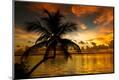 Premium Photographic Print