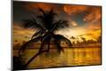 Photographic Print
