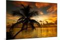 Premium Photographic Print