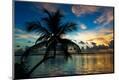 Premium Photographic Print
