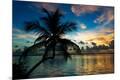 Photographic Print