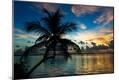 Photographic Print