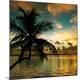 Premium Photographic Print