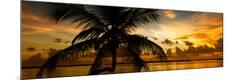 Premium Photographic Print