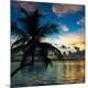 Premium Photographic Print